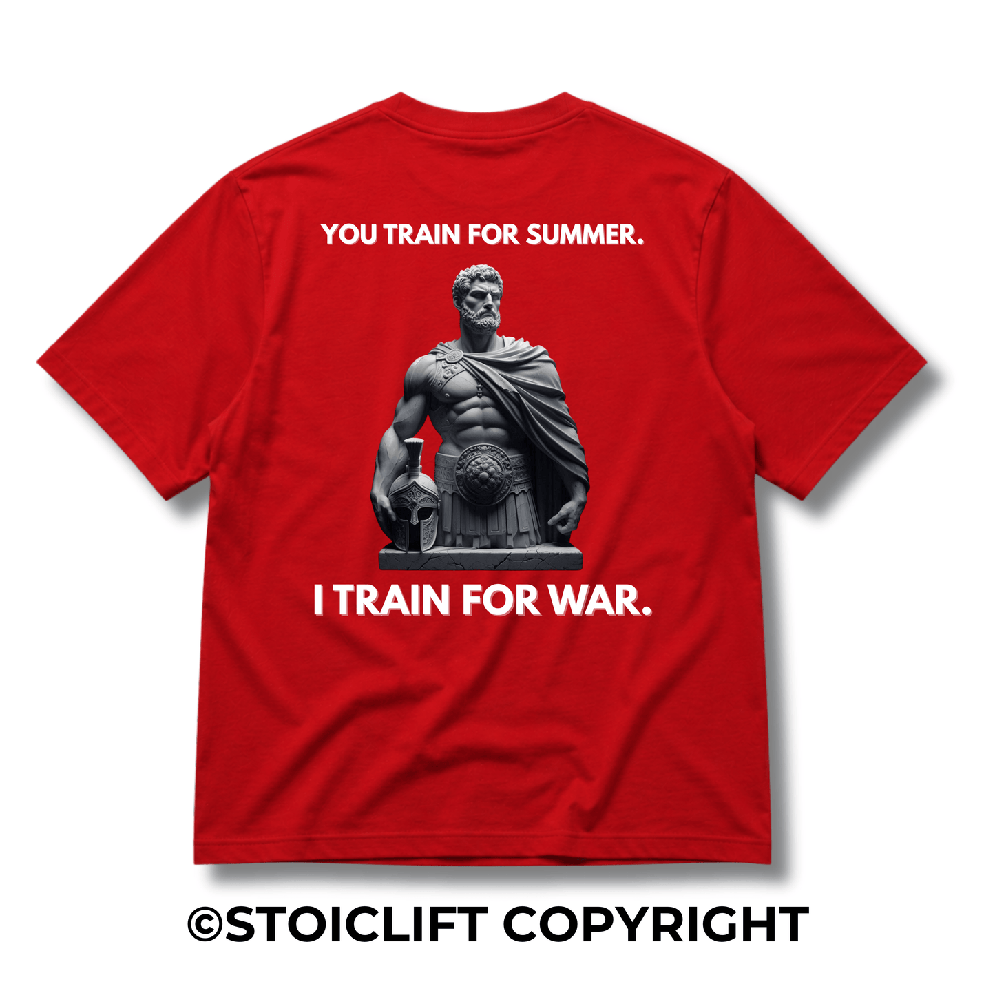 "You Train For Summer. I Train For War." - Heavyweight Oversized Tee