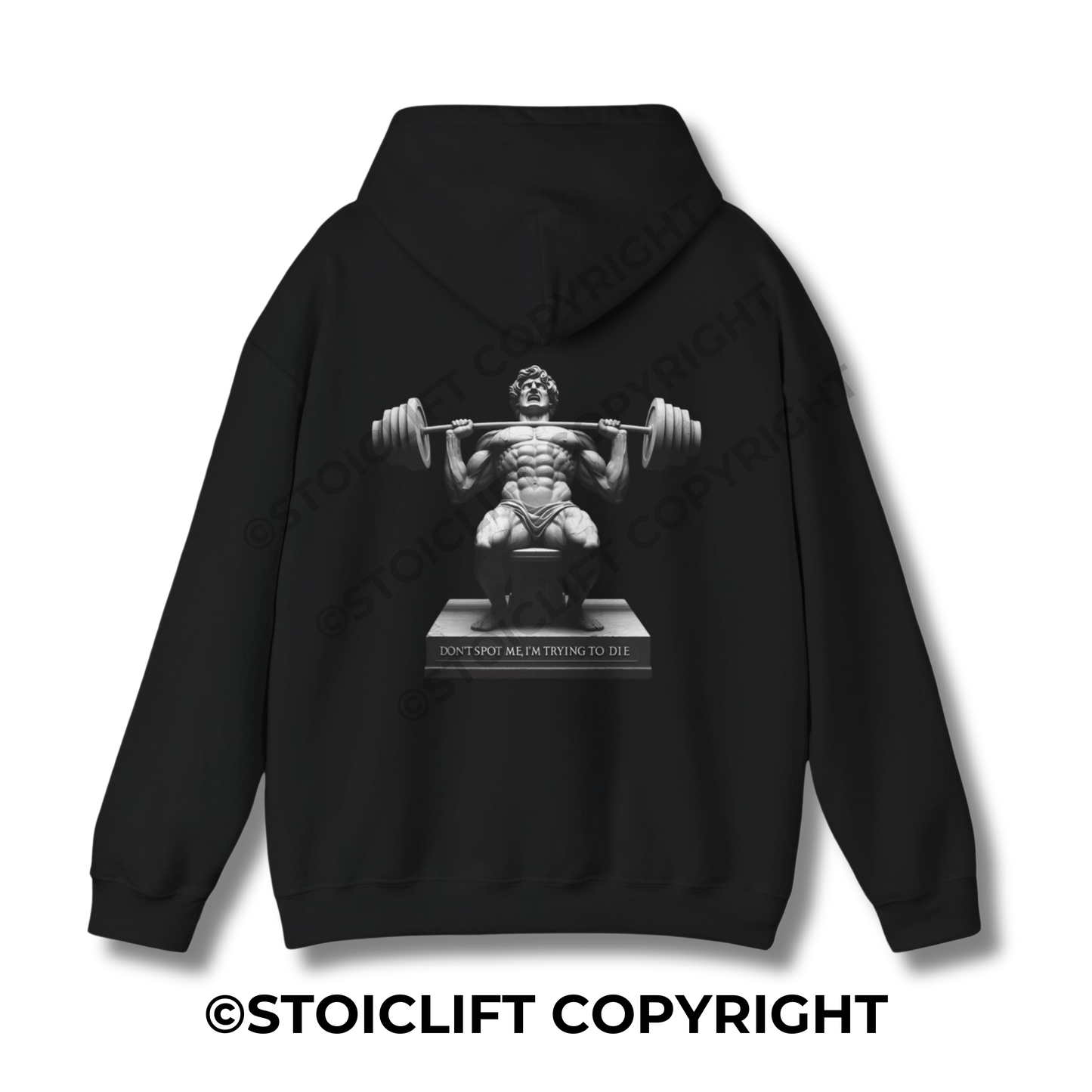 StoicLift Heavy Blend Hoodie - "DON'T SPOT ME, I'M TRYING TO DIE."
