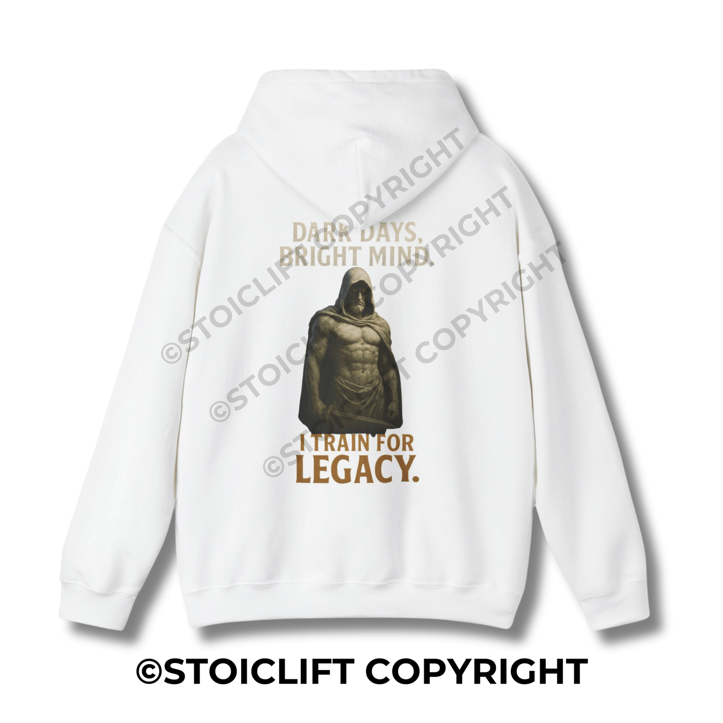 StoicLift Heavy Blend Hoodie - "Dark days bright mind. I train for legacy."