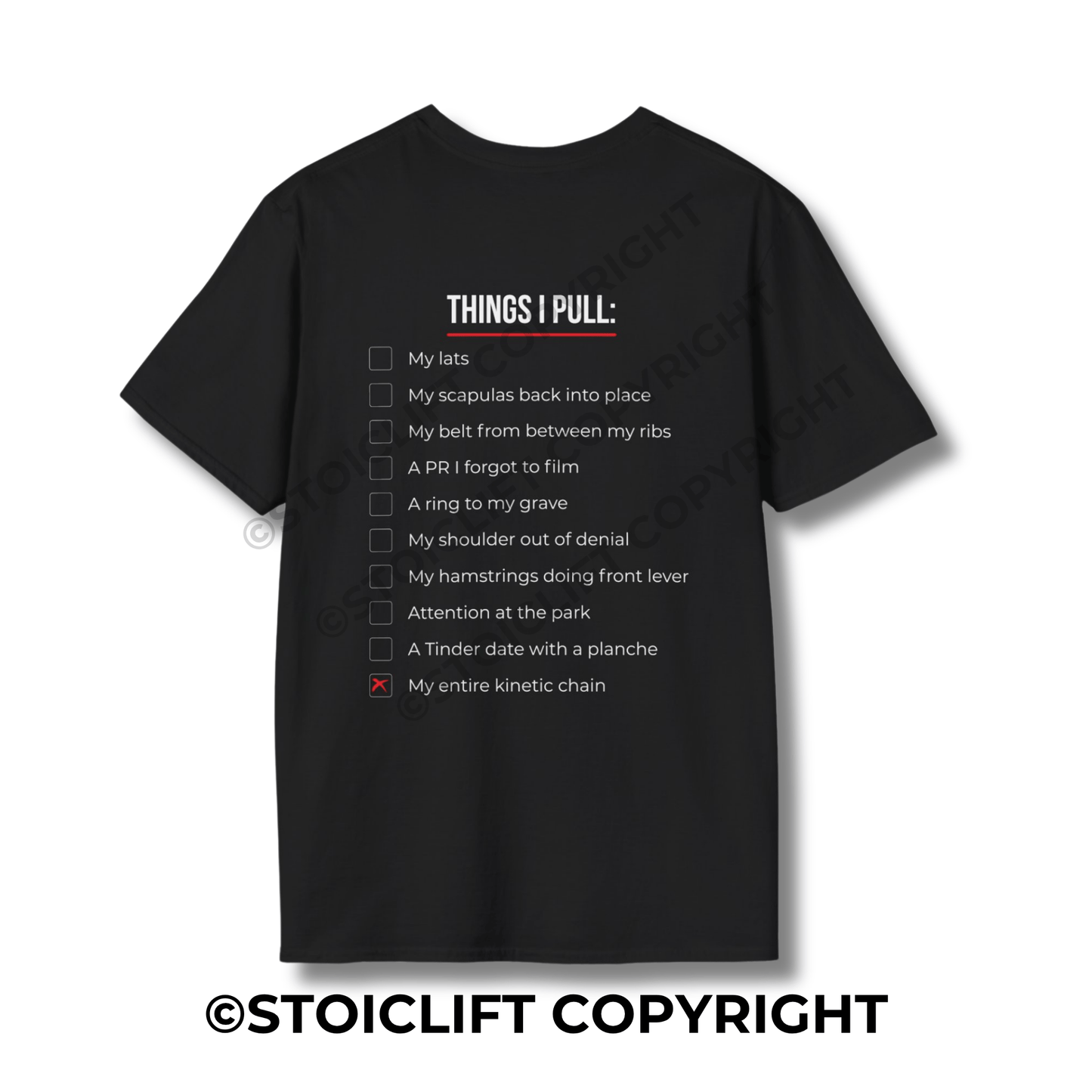 StoicLift Unisex Softstyle T-Shirt – "THINGS I PULL Calisthenics Edition"