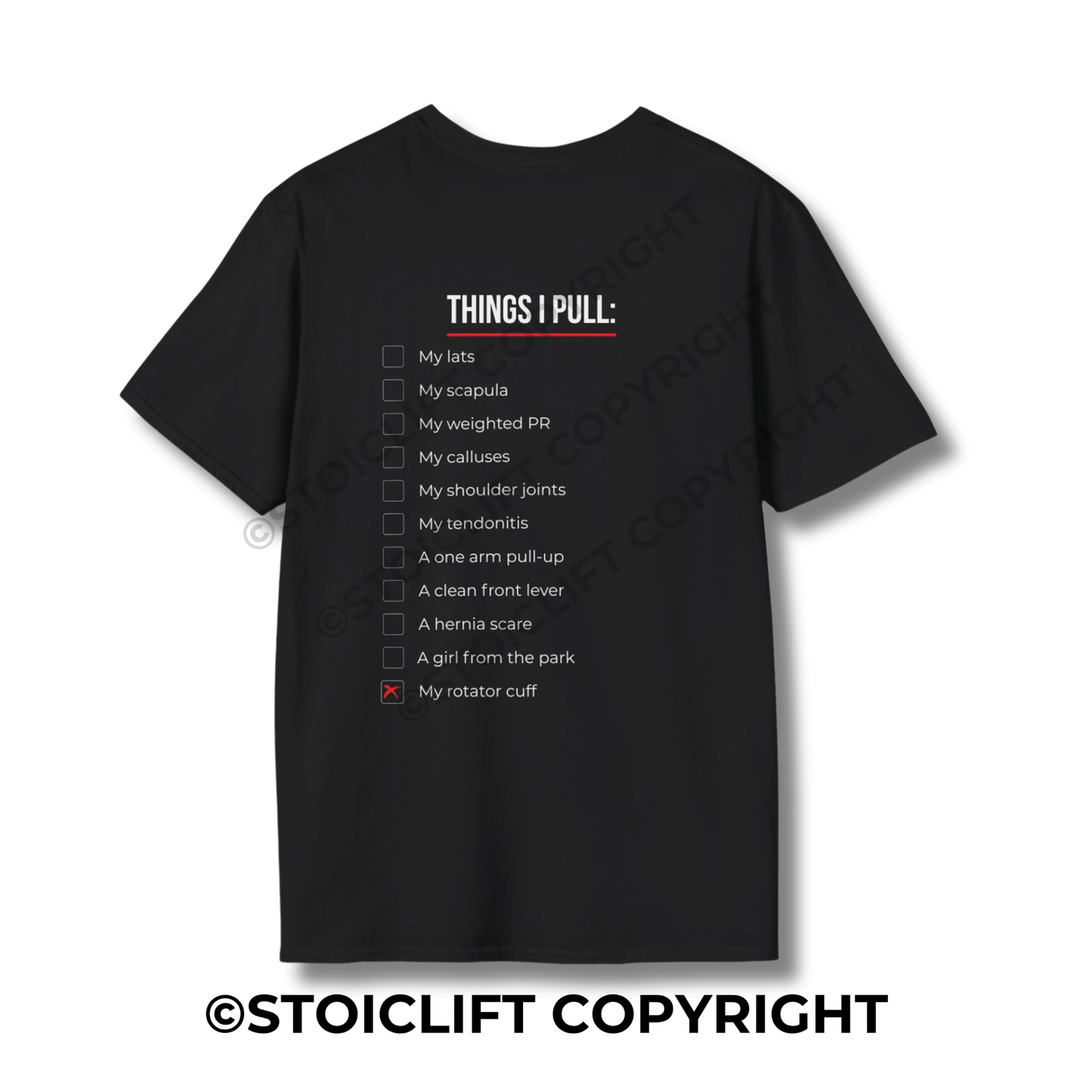 StoicLift Unisex Softstyle T-Shirt – "Things I pull. Calisthenics Edition"
