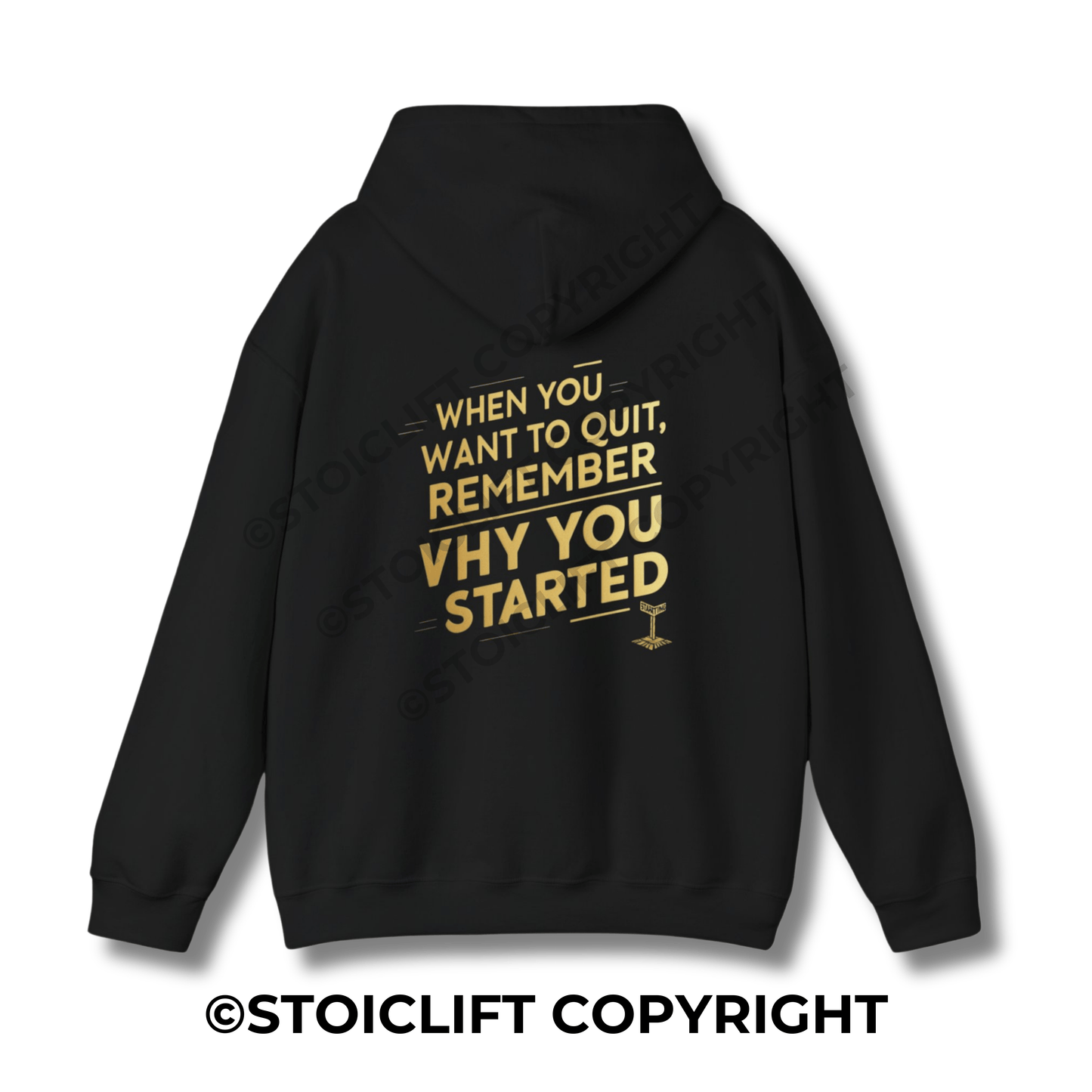 StoicLift Heavy Blend Hoodie - "When you want to quit, remember why you started."