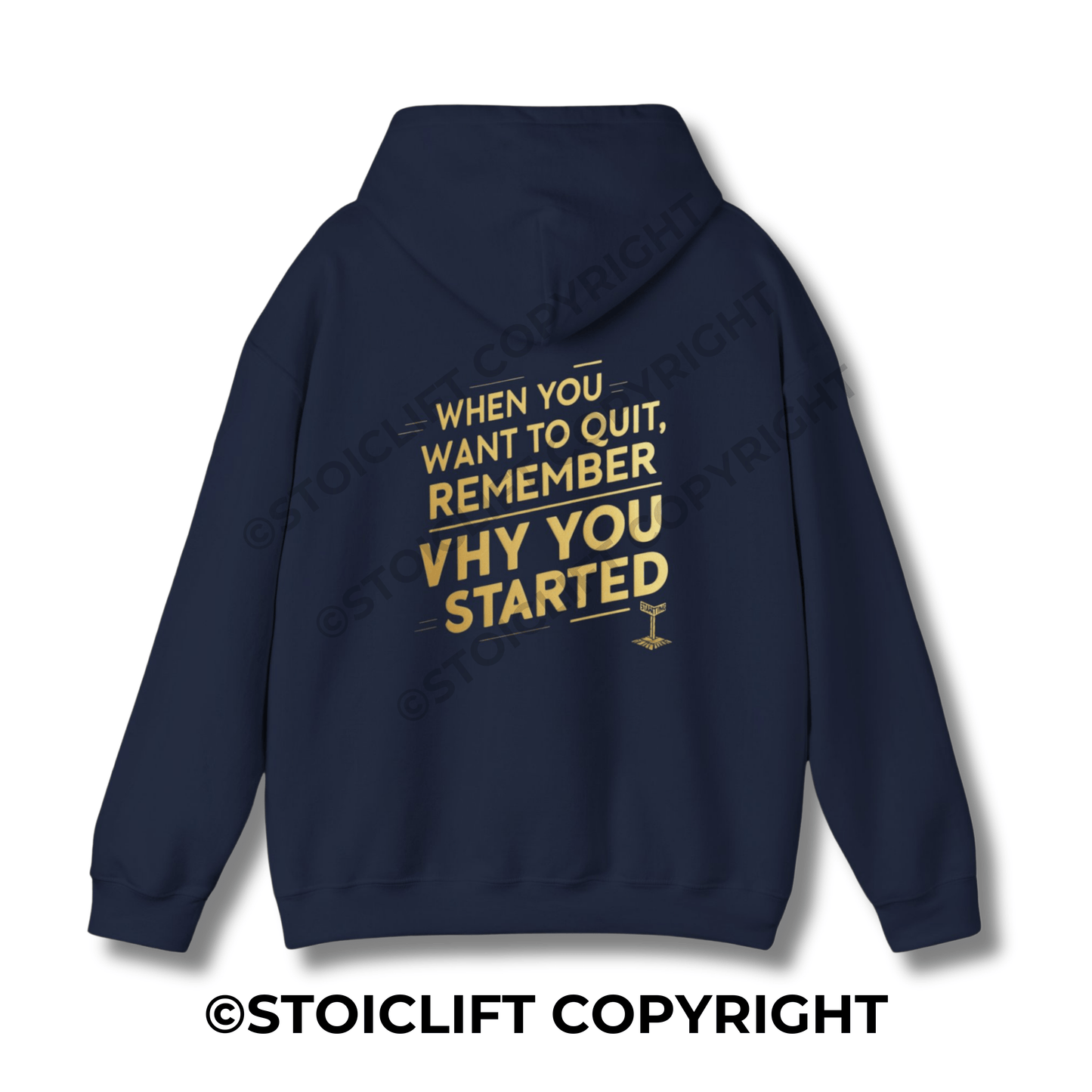 StoicLift Heavy Blend Hoodie - "When you want to quit, remember why you started."