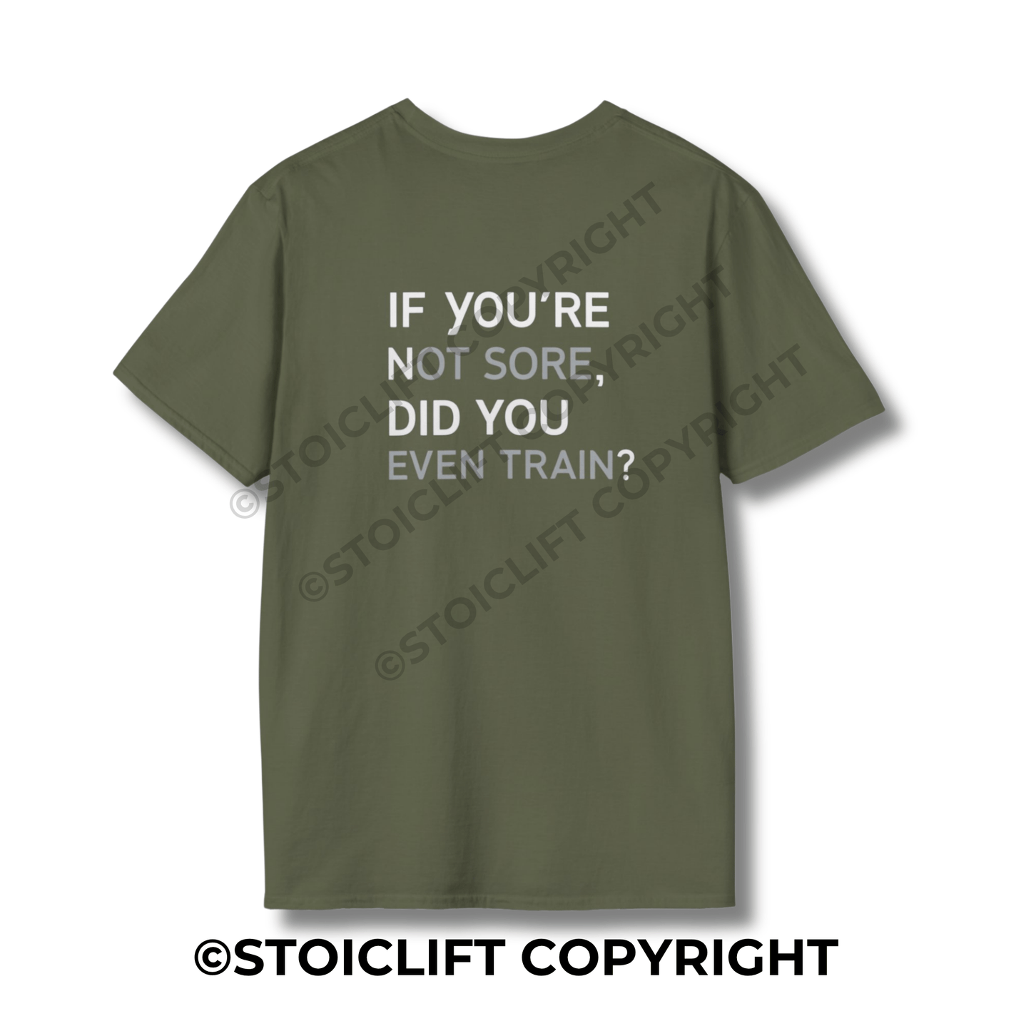 StoicLift Unisex Softstyle T-Shirt – "If you're not sore, did you even train?"