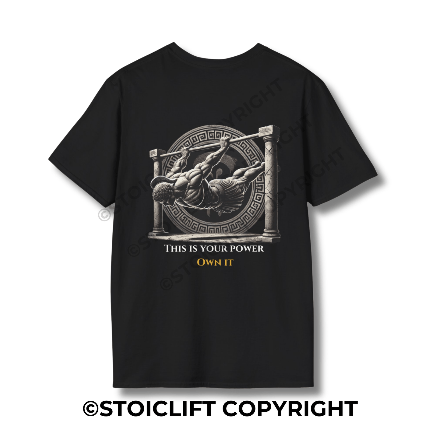 StoicLift Unisex Softstyle T-Shirt – "This is your power. Own it."