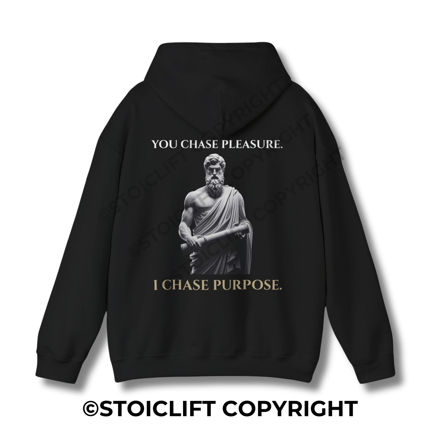 StoicLift Heavy Blend Hoodie - "YOU CHASE PLEASURE. I CHASE PURPOSE."