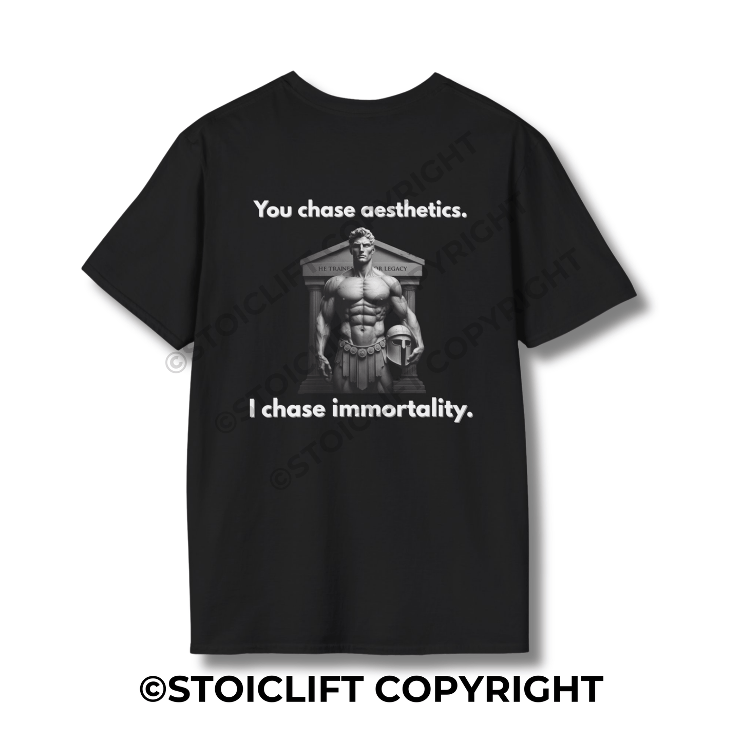StoicLift Unisex Softstyle T-Shirt – "You chase aesthetics. I chase immortality."